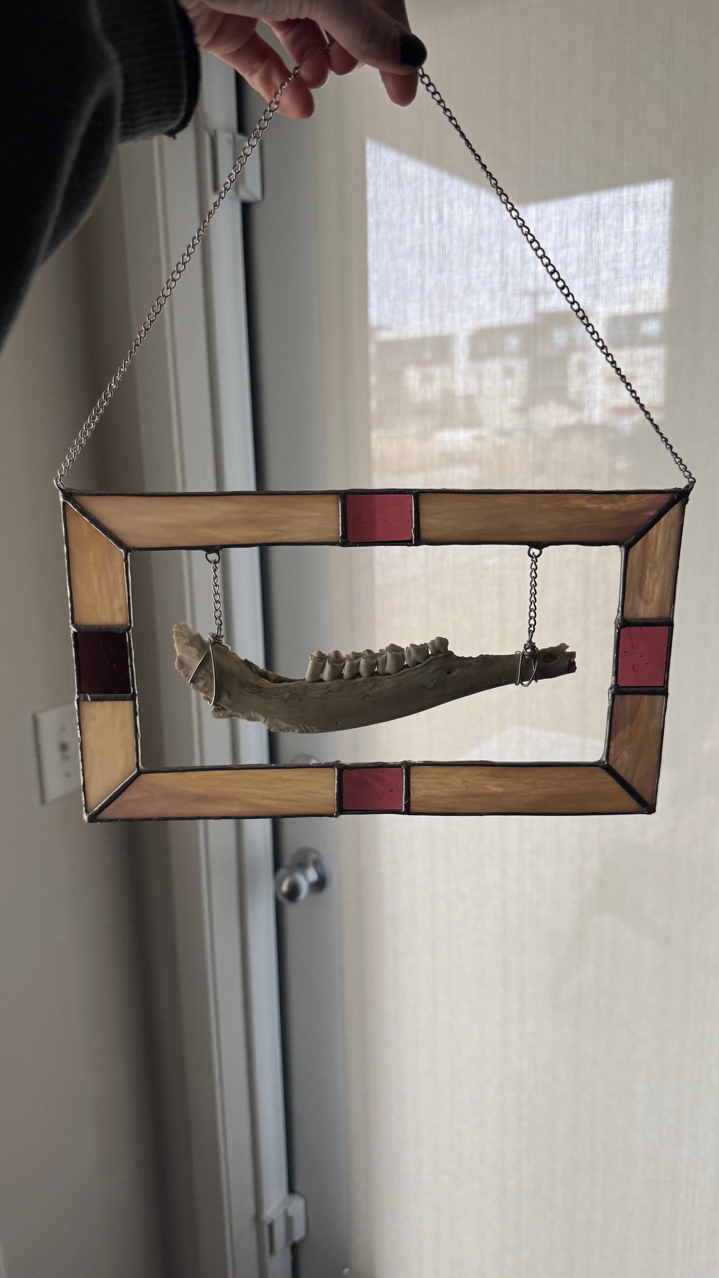 Deer Jaw Wall Hanger